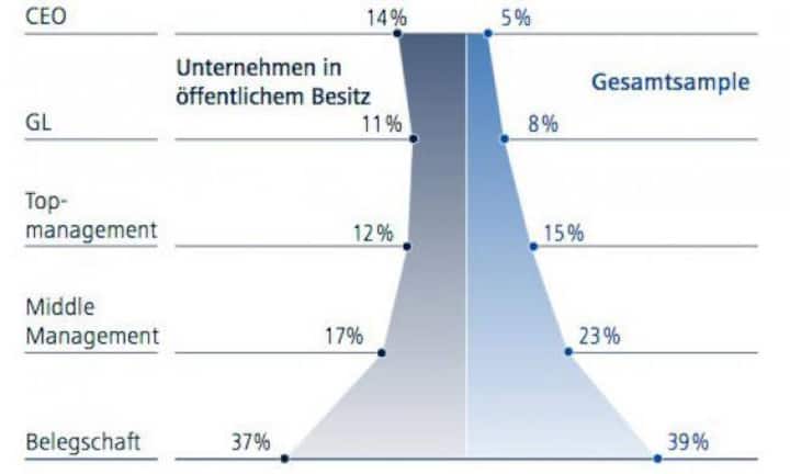 Bei den Unternehmen in der öffentlichen Hand ist das Potenzial leicht unter dem Durchschnitt, dafür sind Frauen in der Geschäftsleitung und auf CEO-Ebene stärker vertreten als im Gesamtvergleich.