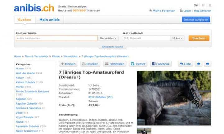 Auf dem Onlineportal Anibis gibt es eine riesige Variation an unterschiedlichen Angeboten. Dieses Pferd ist im Moment mit 45'000 Franken das teuerste Tier.