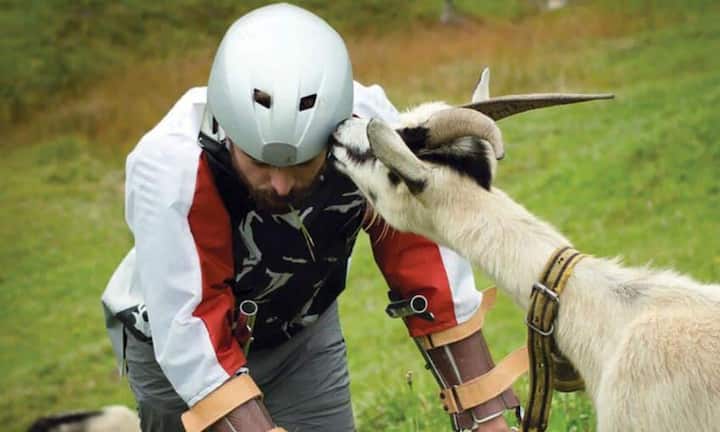 Das ist ihm offenbar gelungen. Der Hirte der Ziegenherde meinte zum Schluss jedenfalls, dass die Tiere Thwaites akzeptiert hätten. Bilder: Tim Bowditch