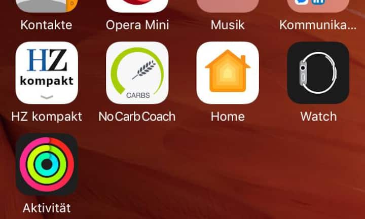 Die Apple Watch stellt man auf dem iPhone über das Programm «Watch» ein. Links unten die Aktivitäts-App, die einem alle gesammelten Daten pro Tag anzeigt, was man an Aktivitäten so machte.
