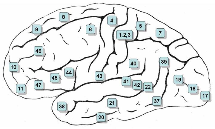6. Misstrauen Sie den Verfechtern einer einzigen Methode. Die besten Coaches sind in der Lage, verschiedene Perspektiven einzunehmen und unterschiedliche Methoden anzuwenden. Wer beispielsweise einzig und allein auf Neuro-Linguistisches Programmieren (NLP) setzt, eine wissenschaftlich umstrittene Methode, verdient kaum Ihr vertrauen.Bilder: Creative Commons/Keystone