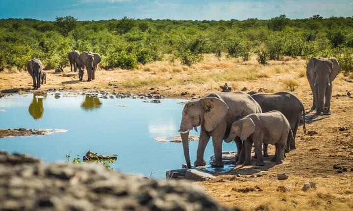 NamibiaPlus: Die höchsten Sanddünen der Welt; unendliche Weiten und mystische Wüstenlandschaften; erlebnisreiche Flugsafaris von Camp zu Camp; Abenteuerziel für Offroad-Fahrer (z.B. am berüchtigten Van Zyl's Pass)Minus: Verhältnismässig wenig Tiere, Big Five selten; von Dezember bis Februar extrem heiss; lästige Reifenwechsel gehören dazu; Sand ist omnipräsent und geht unter die Haut und in alle Ritzen