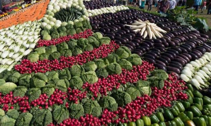 Kohl, Aubergine oder Rüebli: Welches Gemüse macht das Rennen in die Schweizer Küchen?