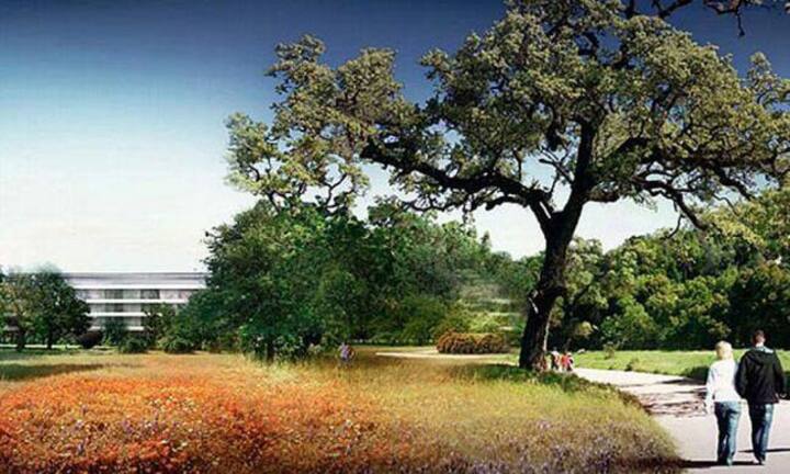 Das Gebäude von Norman Foster wird optisch beinahe in einem Park verschwinden. 80 Prozent des Grundstücks sollen begrünt werden. Apple