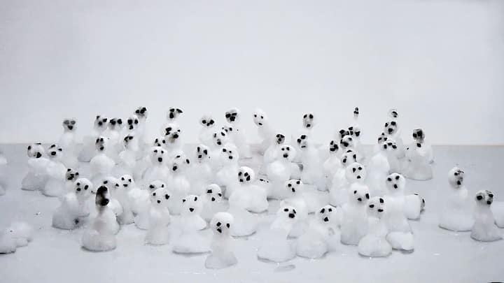 Great White, Videoprojektion, 2017/18, Ursula Palla > Videostill; Ursula Palla Empty Garden 2, Videoinstallation, 2020, Ursula Palla > Foto; Ursula Palla Listen to the Flowers, Aluminium und Bronze mit Waffenstahl, 2022, Ursula Palla > Foto Ursula Palla