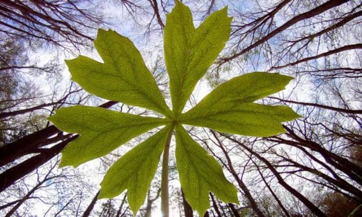Nicht auf den Sport beschränkt: GoPro-Aufnahmen zeigen die Welt aus einer anderen Perspektive. Keystone/Bloomberg/GoPro