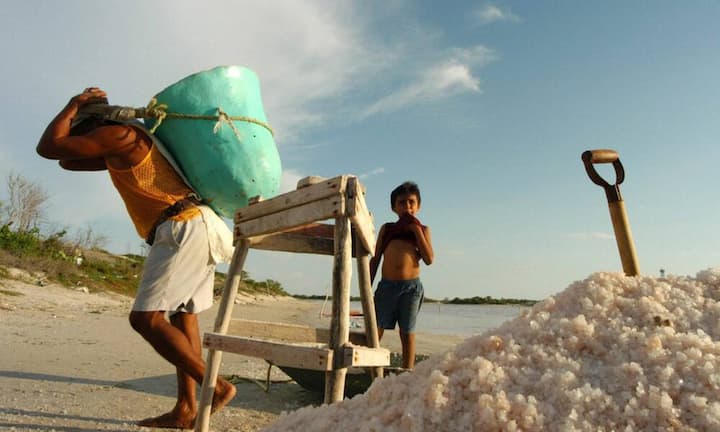 Er als Präsident aber: «Ich werde unsere Jobs zurückbringen von China, von Mexiko, von Japan, von so vielen Orten. Ich werde unsere Jobs zurückbringen und ich werde unser Geld zurückbringen.»