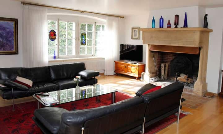 Zum Beispiel das Cheminée im Wohnbereich oder...