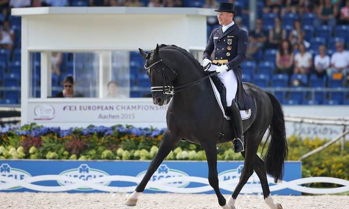 Totilas besondere Talent lag vor allem in den schwersten Lektionen: die Piaffen, also den Trab auf der Stelle, und die Passagen waren für den Hengst ein Leichtes.