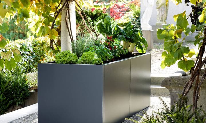 Hoch das BeetArbeiten ohne Bücken, keinen Ärger mit Schnecken, viel Ertrag auf wenig Fläche: Vieles spricht für Hochbeete, darum sind sie Trend. Das Hochbeet Cubus ist aus pulverbeschichtetem Metall, und der Handlauf ist breit und bietet mit seinen abgerundeten Kanten einen angenehmen Halt beim Abstützen.Aussteller: Sager Gartengalerie