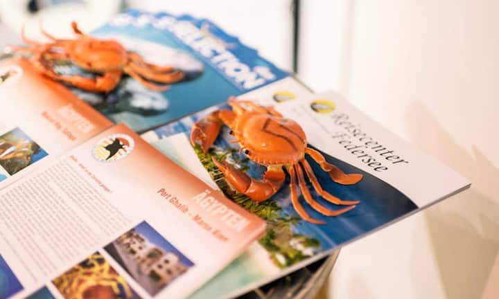 Sind die Ferien einmal genehmigt, kann der Arbeitgeber die Erlaubnis nicht zurückziehen. Auch muss er seinen Entscheid angemessen im Voraus treffen, damit der Angestellte seine Ferien planen kann. Was das bedeutet, da besteht ein Ermessensspielraum.