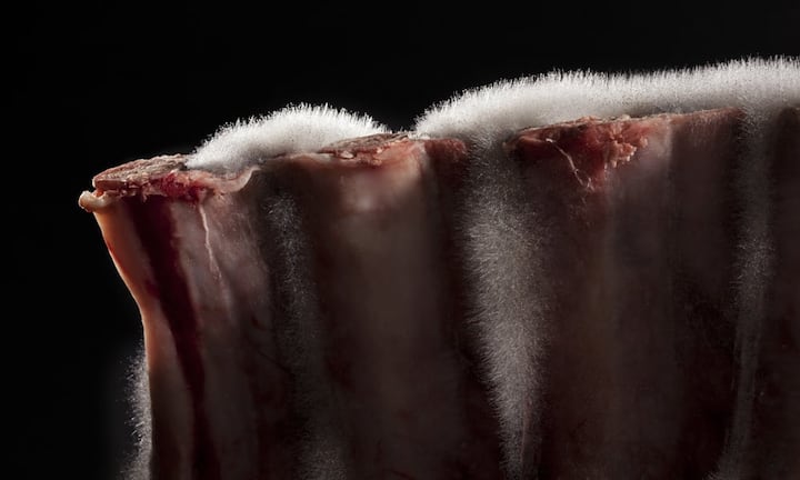 Der Schimmel im überzieht beim Reifeprozess das Fleisch mit einem weissen Pelz.