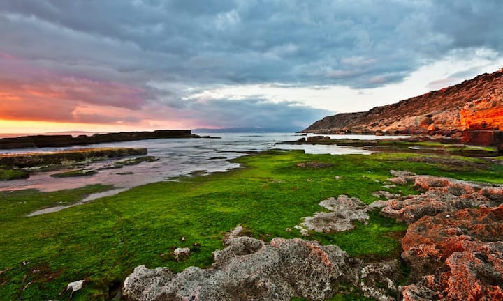 ... Mallorca. Spitzenreiter ist... Andrés Nieto Porras/Wikimedia/CC