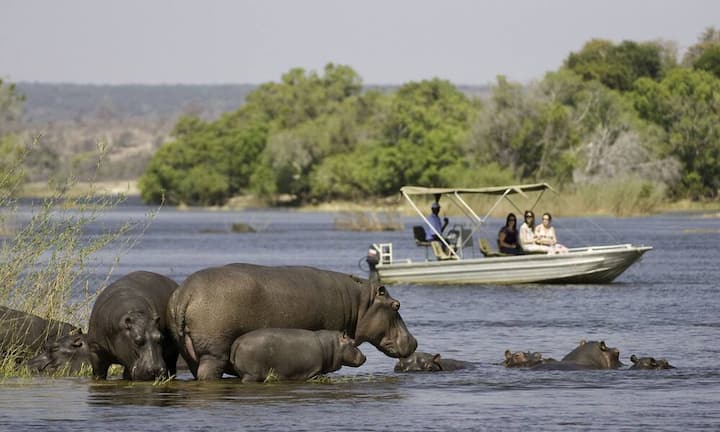 BotswanaPlus: Hohe Tierdichte und -vielfalt auf kleinem Raum; mehr Elefanten als überall sonst; gigantische Sumpflandschaft mit wilder Ursprünglichkeit im Okavango-Delta; verschiedene Tierbeobachtungen von Wasser- und Land-Lodges aus möglich; stabile politische Lage; kein MassentourismusMinus: Vergleichsweise teuer; meist kein Handyempfang, oft kein Wi-Fi; Lodges oft nur per Flugzeug erreichbar (maximal 20 Kilo Gepäck erlaubt)