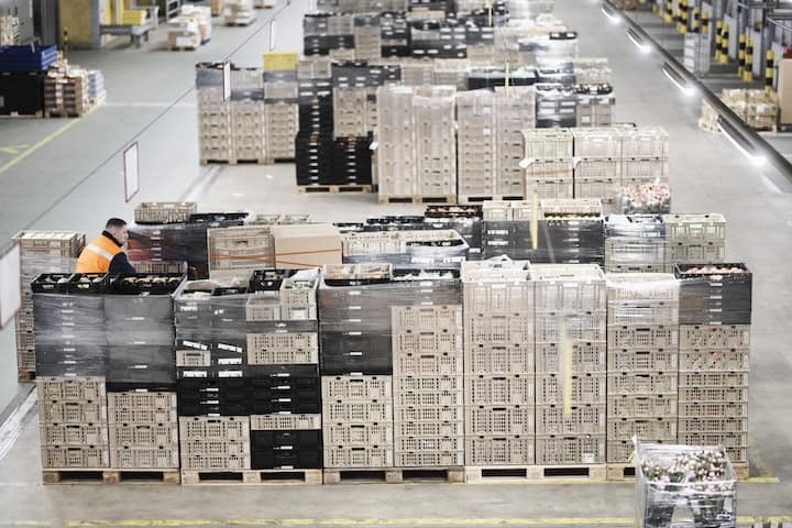 Vom eigenen Logistikzentrum für Frischware bis ...