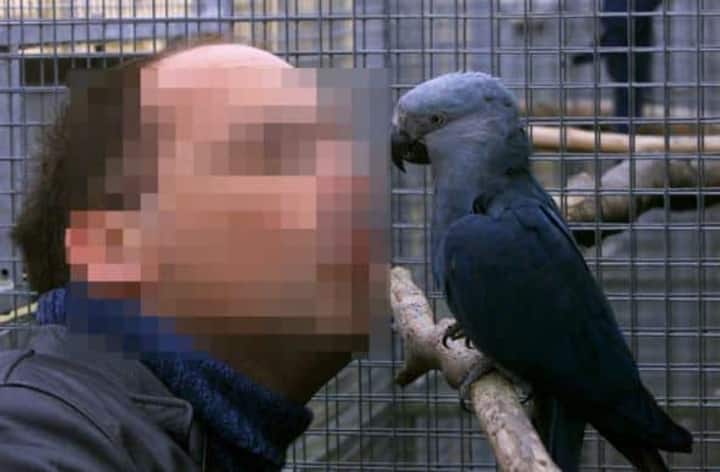 Der Schweizer R. M. - hier im Jahr 2001 - war Besitzer von einigen der seltensten Papageien der Welt. Rund zehn Jahre später kaufte er in Berlin zwei Unternehmen - unter anderem vom deutschen Rapper Bushido. Der Hip-Hop-Star ...