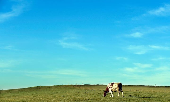 Bei Milch und Milchprodukten nimmt die Schweizer Bevölkerung täglich nur zwei anstatt drei Portionen zu sich.