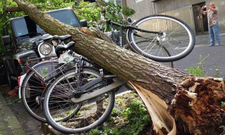 In der Versicherungsbranche verdient das Kader im Durchschnitt 219'000 Franken und ist somit zweitplatziert.