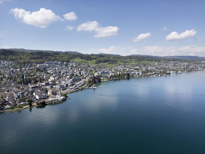 Im vierten Quartal 2025 war fast die Hälfte aller Eigenheimkäufe am Zürichseeufer Neubauten.