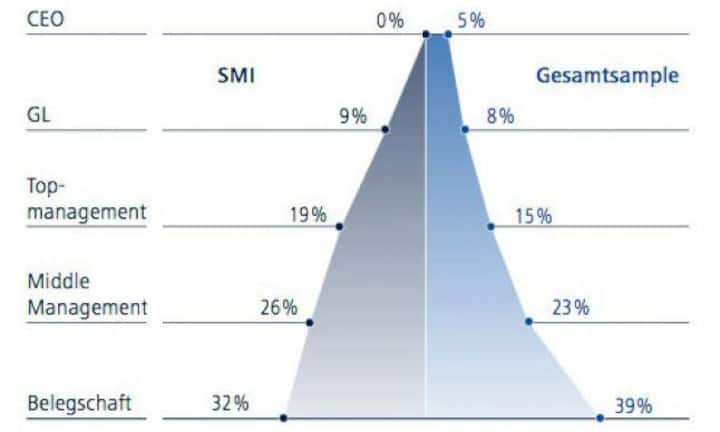 Der Durchschnitt der SMI-Firmen bildet dagegen annähernd den Gesamtdurchschnitt ab. Allerdings werden alle SMI-Firmen von einem Mann geführt.