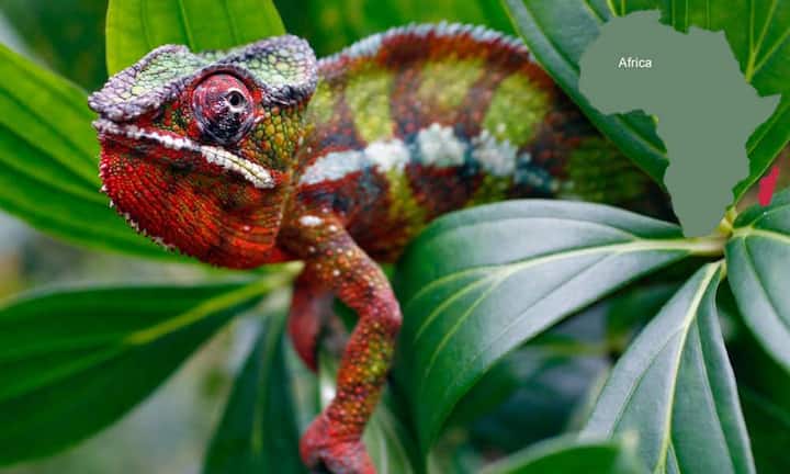 Auf dem zweiten Platz folgt Madagaskar. Der Inselstaat überzeugt durch landschaft, Flora aund Fauna. (Bild: Keystone)