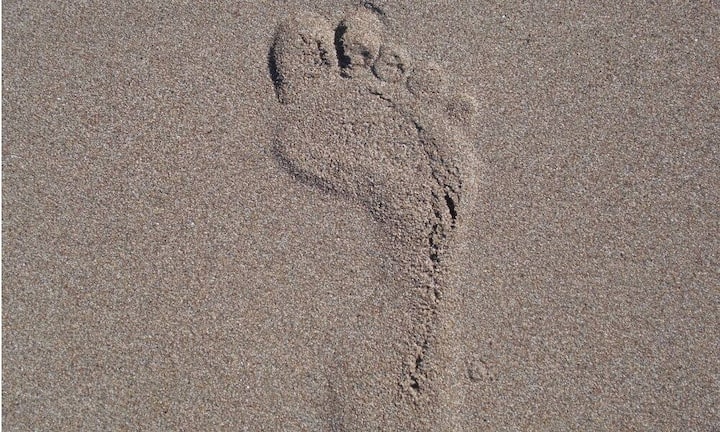 Digital Footprints Sie müssen verstehen, welche Konsequenzen  ihre digitalen Spuren im Netz haben können. pixabay