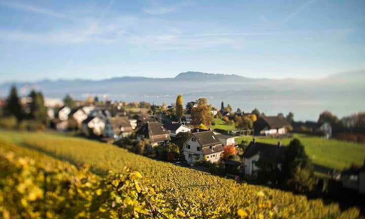 Das Immobilienangebot ist in Stäfa sehr vielfältig und die Verhandlungsmacht der Käufer relativ gross, was sich aus der Angebotsquote von 6,73 Prozent schliessen lässt. Bei Comparis lassen sich derzeit 47 Wohnungen zum Verkauf finden.