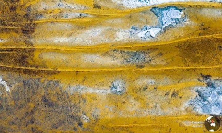 Die Tanami-Wüste in Zentrum Australien, mit einer Fläche von 184'000 Quadratkilometern. Der Bewuchs ist spärlich, Niederschlag fällt nur sporadisch.