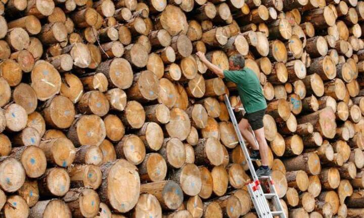 Auf dem vierten Platz, die Holzwaren-, Karton- und Papierindustrie mit 203'000 Franken.