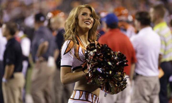 ... die Cincinnati Bengals...