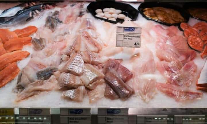 Platz 3: Der Ovo-Lacto-Pescetarier: Für ihn ist Fleisch tabu, dafür isst er Fisch, Milchprodukte und Eier. Das Klima dankt es ihm. Keystone