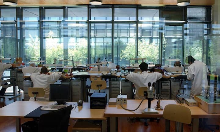 350 StellenSo viele Jobs will der Genfer Luxusgüter-Riese Richemont wegen der jüngsten Absatzprobleme in der Schweiz abbauen. Für das Unternehmen arbeiten hierzulande 8700 Personen, weltweit sind es 30'000.Bilder: Keystone