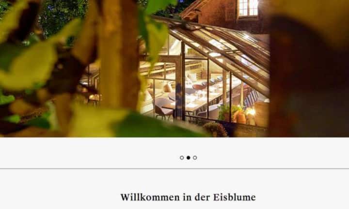 Die Eisblume in Worb (BE).
Screenshot Eisblume