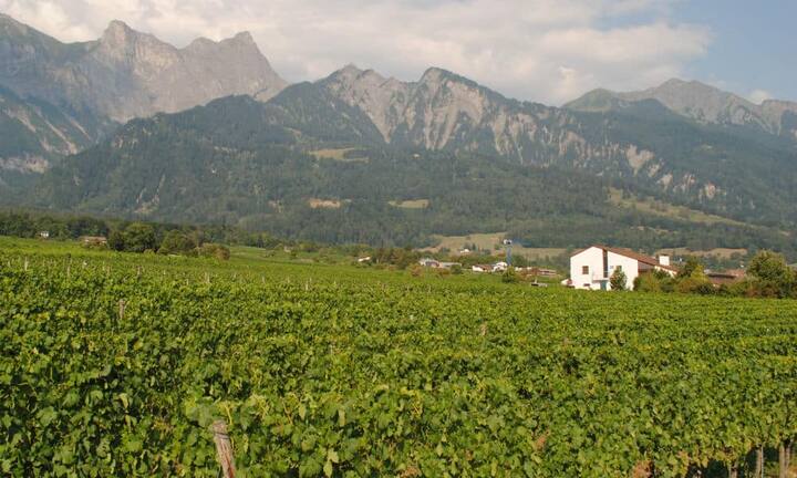 Die Villa befindet sich fünf Gehminuten entfernt vom Städtchen Maienfeld.
Preis: 3’100'000.-
Quelle und Bilder: Engel & Völkers