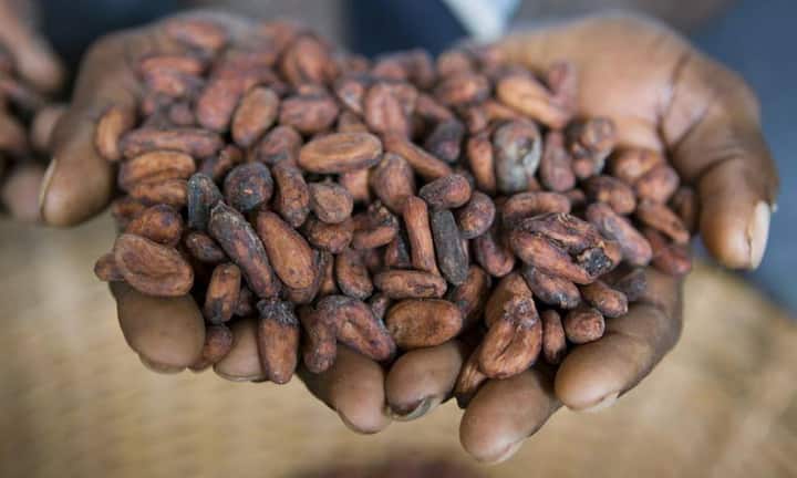 …Cargill International, das weltweit 140'000 Mitarbeitende beschäftigt, und vor…Cargill International