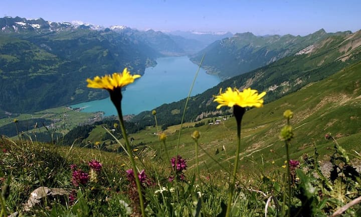 Türkisblaues Wasser, ewig weisse Berggipfel und eine kühle Brise im Gesicht - der Brienzersee weiss vollauf zu begeistern. Aber Vorsicht: Die steilen Ufer des Alpenrandsees im Kanton Bern setzen sich auch unter dem Wasserspiegel fort, so dass kaum Flachwasserzonen existieren.Keystone
