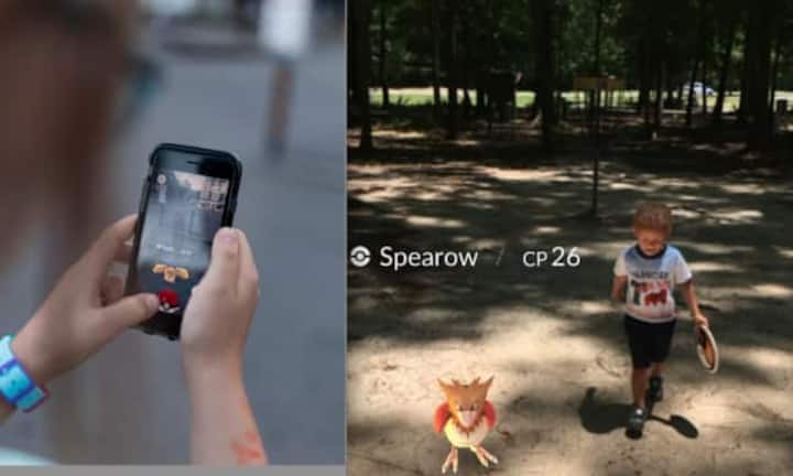 Taubsi (l.) und Habitak sind Flug-Pokémon. Wer sie fangen will, sollte sich zu Bauernhöfen, Parks, und Naturschutzgebieten und Spielplätzen begeben. Mit etwas Glück begegnen sie einem auch im heimischen Garten.