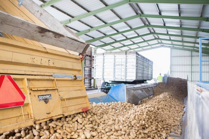 Knapp 90 Prozent der Zutaten bezieht McDonald’s von Schweizer Lieferanten: die Pommes frites von der Fenaco-Tochter Frigemo