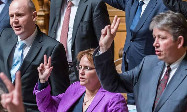 Im Jahr 2015 zieht sie für die SVP als Vertreterin von Graubünden in den Nationalrat ein.