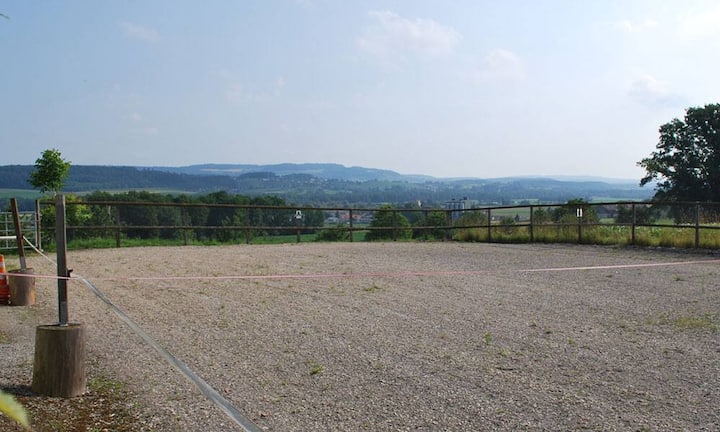 Auch der Reitplatz fehlt nicht. Der Preis für dieses Landhaus beträgt 4,3 Millionen. (Quelle/Bilder: 
Engel & Völkers)