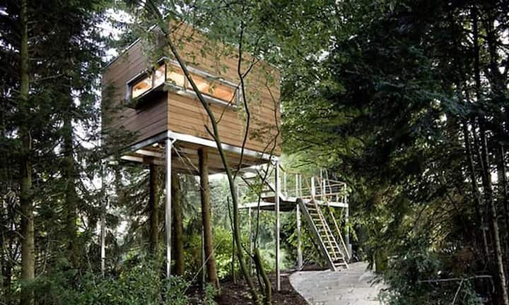 Dieses Baumhaus befindet sich versteckt auf einem privaten Grundstück außerhalb von Osnabrück im Nordwesten Deutschlands. Es ist eingebettet zwischen Büschen, einer Magnolie und mehrere Tannen. Alasdair Jardine