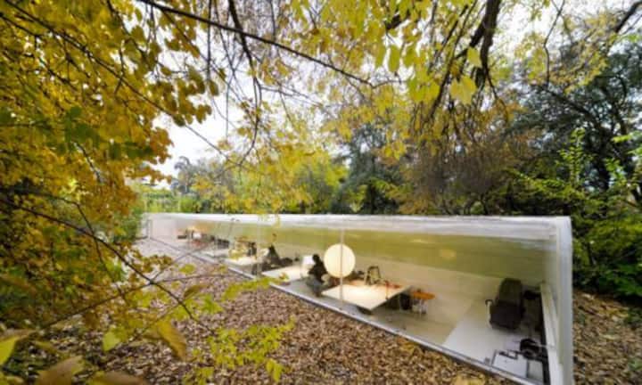 Selgas Cano Architecture: Die Büroplätze von Selgas Cano Architecture in Madrid liegen mitten in einem Waldstück.