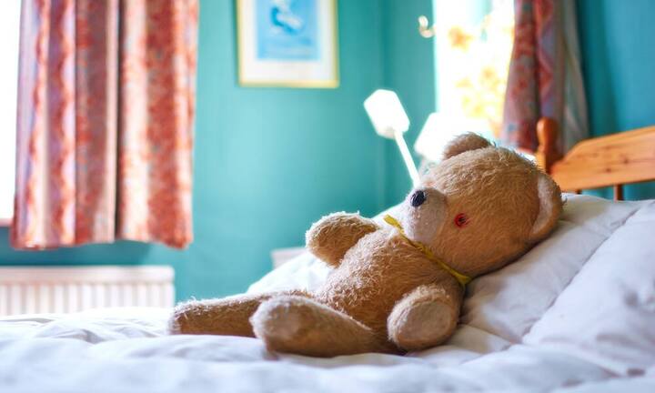 TeddybärenAuch mit Teddybären kann man sein Vermögen vermehren. Insbesondere bieten dabei Teddybären der Marke Steiff gute Renditechancen.