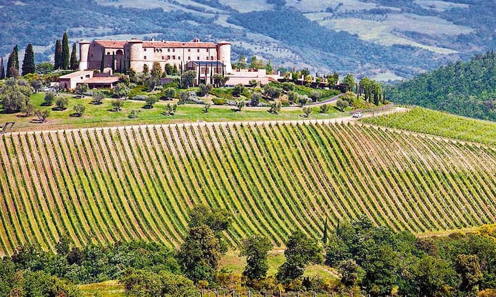 Maria Iris Tipa Bertarelli: Weingut Castello di Colle Massari.
Die Mutter von Ernesto Bertarelli, der die Serono für zehn Milliarden an Merck verkaufte, betreibt in Italien zusammen mit ihrem Bruder drei Weingüter. Das beste davon, Colle Massari, wurde vom renommierten Weinführer «Gambero Rosso» zum «Weingut des Jahres 2014» gekürt.