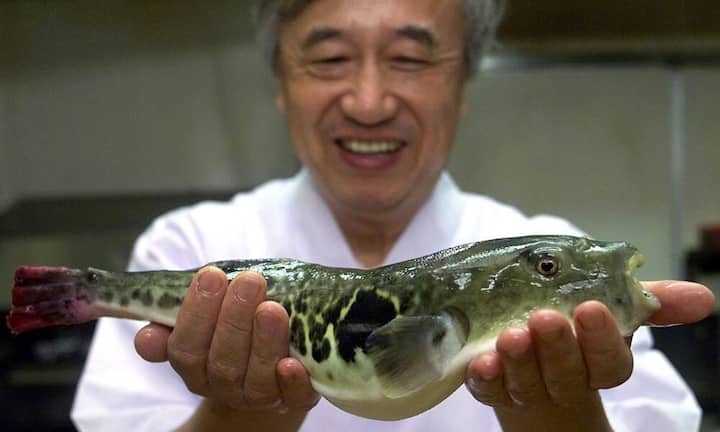 Aus dem Epizentrum für Delikatessen, Japan, stammt auch Fugu. Die Spezialität aus Kugelfisch kostet 550 Franken pro Kilo.