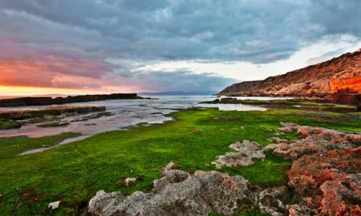 ... Mallorca. Spitzenreiter ist... Andrés Nieto Porras/Wikimedia/CC