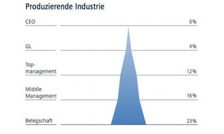 Die Industrie weist eine interessante Verteilung auf: Trotz geringer Basis nähert sich das mittlere und das Top-Management dem Gesamtdurchschnitt an. Es gelingt den Unternehmen offenbar gut, ihre Talente zu nutzen.