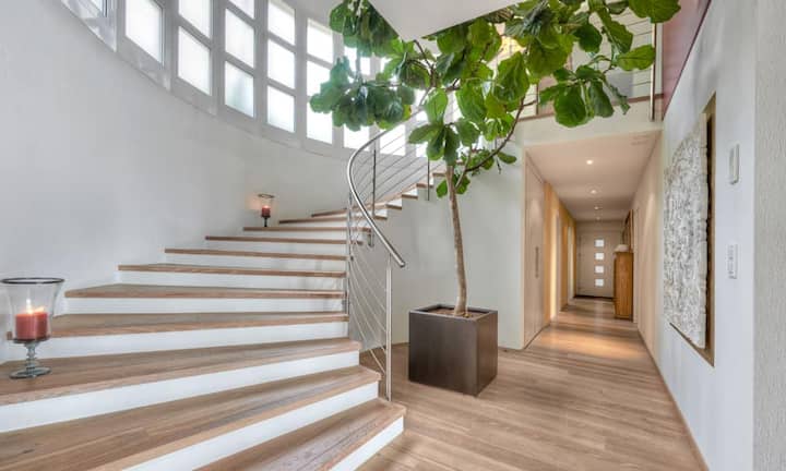 Über eine halbrunde, grosse, offene Treppe gelangt man in den hellen Wohn-/Essbereich mit Kochinsel.