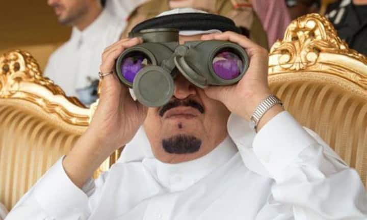 Salman ibn Abd al-Aziz (80), seit 2015 König von Saudi-ArabienDer saudische König spielte eine Rolle in der Firma Safason Corporation SPF S.A. von Luxemburg.