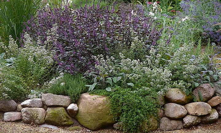 Duft-Terrasse: Der optische Auftritt der Pflanzen ist das eine, der olfaktorische das andere. Heimische und exotische Kräuter überraschen je nach Jahreszeit mit feinen Duftnoten: Schnittlauch, Rosmarin, Currykraut, Salbei, Thymian, Basilikum. Stark duftende Pflanzen wie Duftwicken, Vanilleblume, Ziertabak oder Nachtkerze sind darüber hinaus auch eine Augenweide.